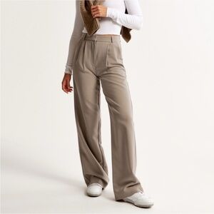 Abercrombie & Fitch Sloane Tailored Wide Leg Pant (light taupe) Size 30L